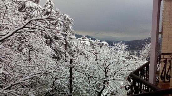 Hotel Hotel Shiwalik Regency Shimla