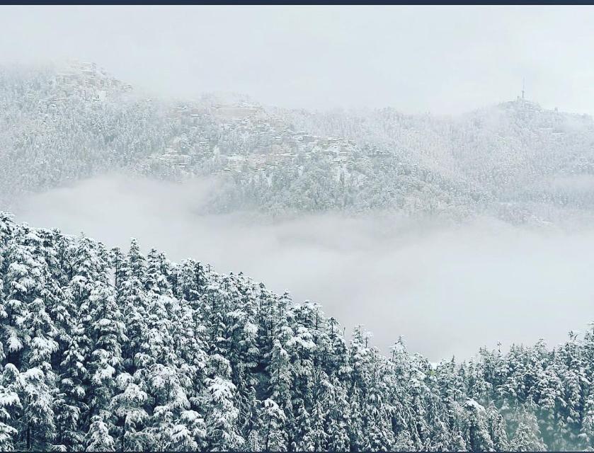 Dev Homestay Shimla