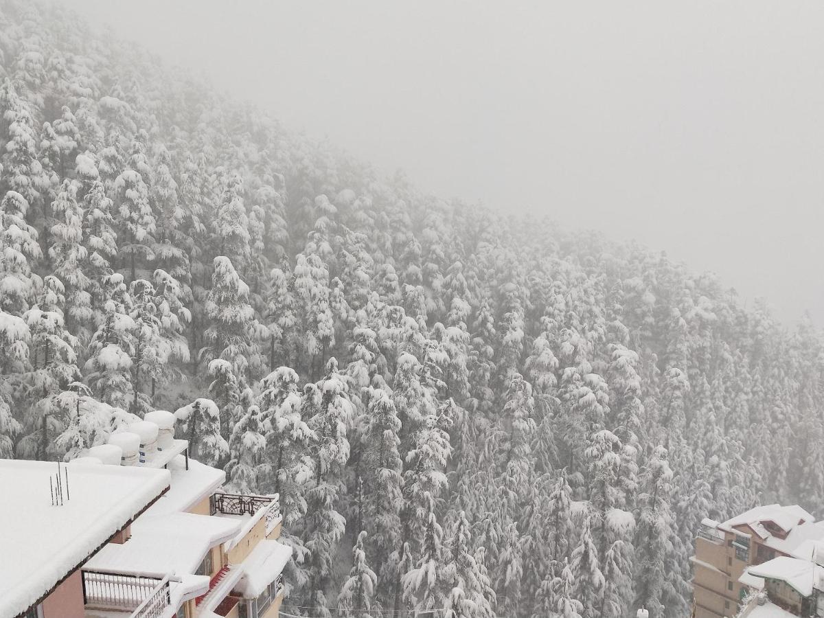 Homestay Dev Shimla