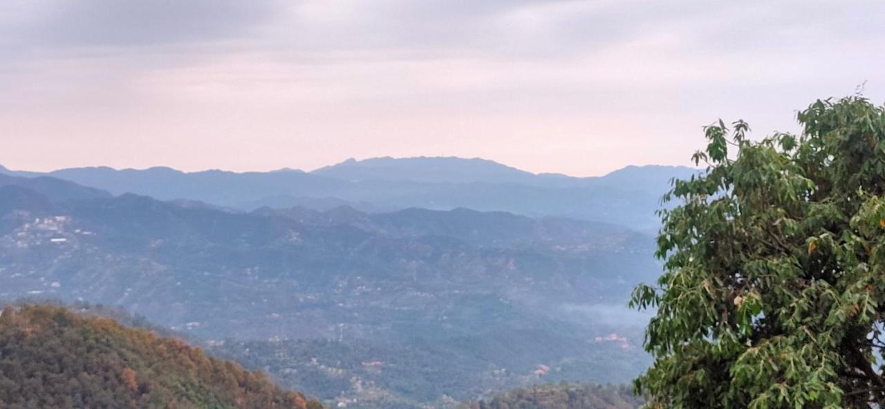 Curve Apartment Shimla