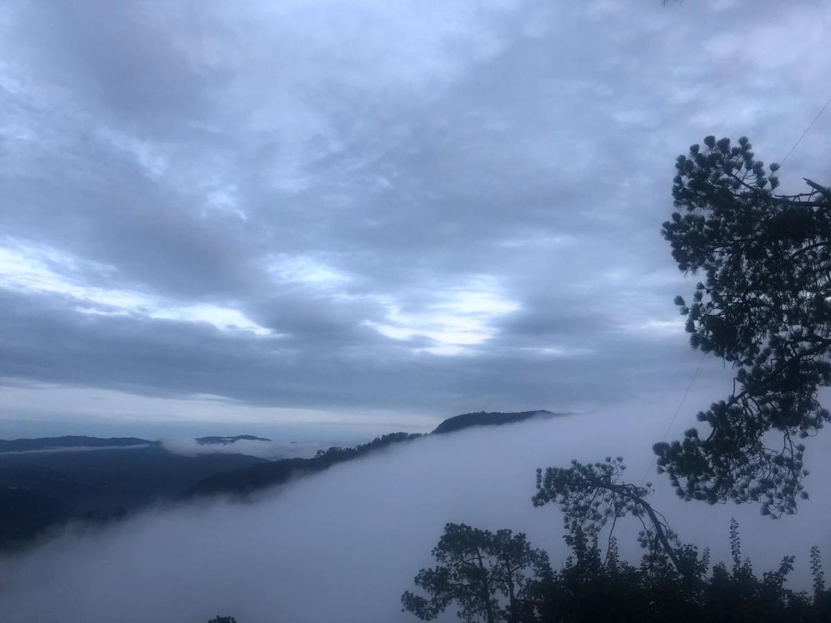 The Westberry 50mtrs Offroading And 50 Mtrs Nature Path Bed & Breakfast Shimla