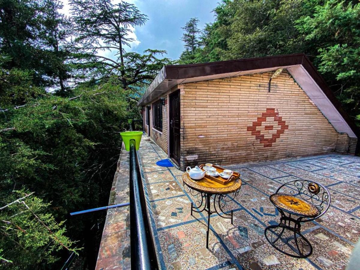 Bed & Breakfast Jakhu Vibes 3*