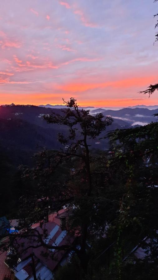 Lords Regency 3* Shimla