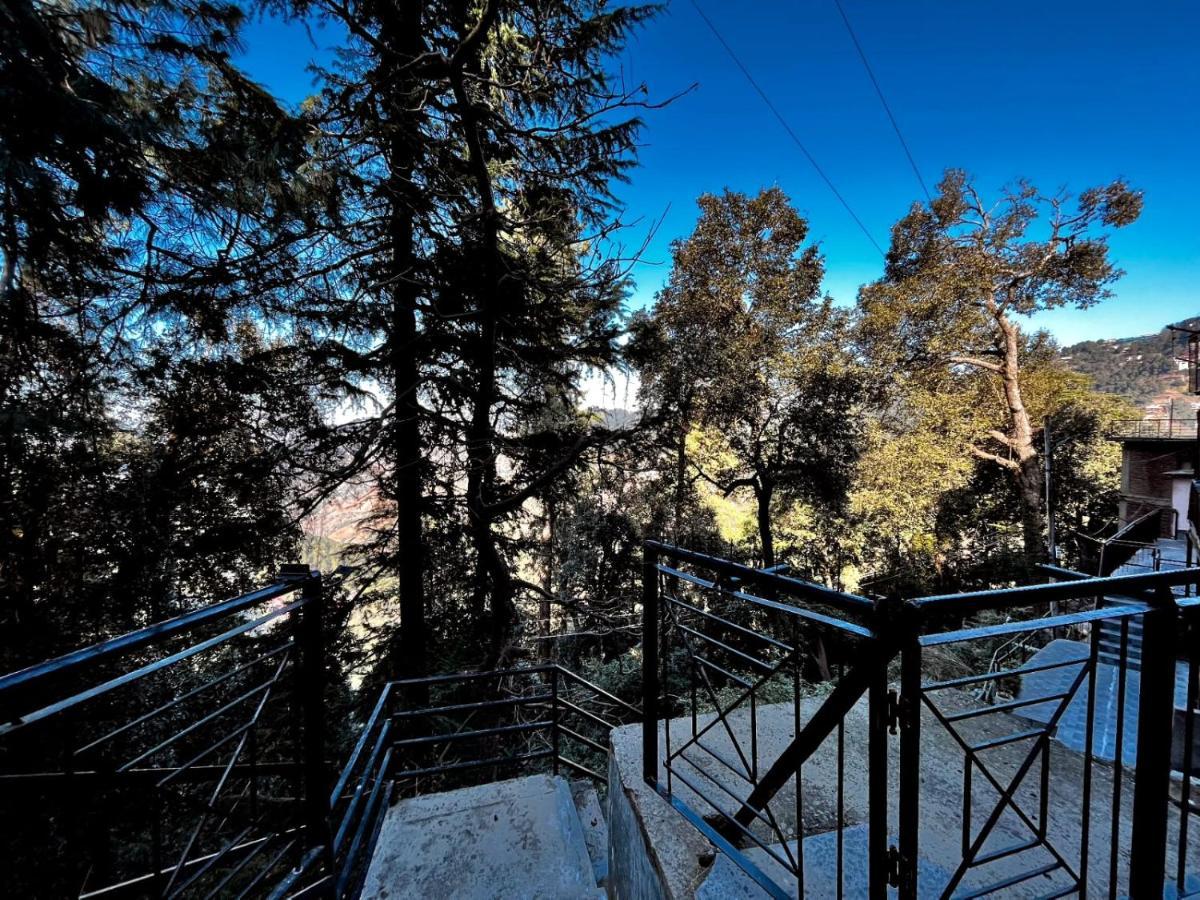Nirvana Shimla