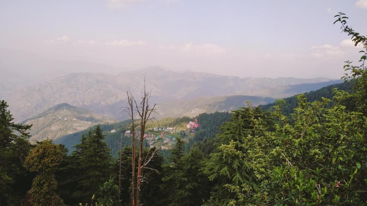 Homestay Hill View Regency Best Budget Near Mall Road Shimla