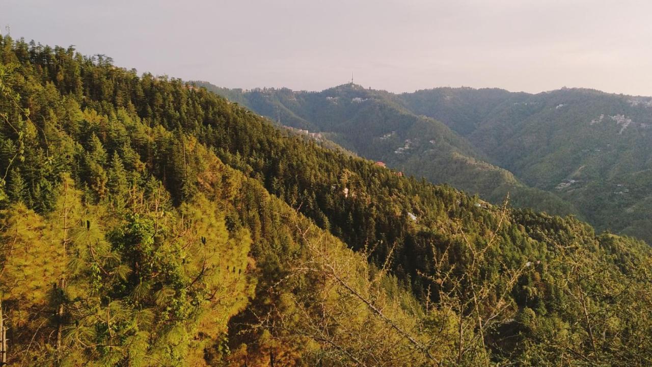 Hill View Regency Best Budget Near Mall Road * Shimla