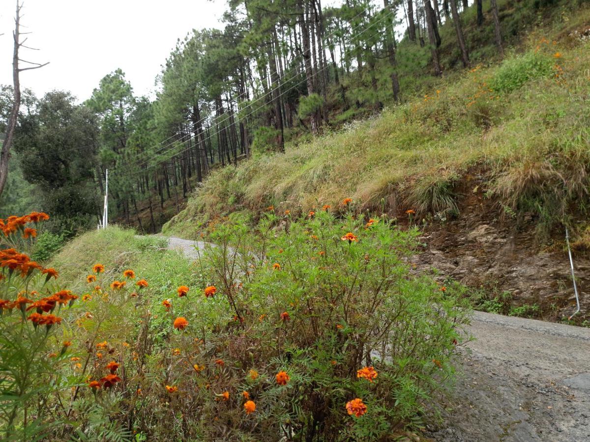 Aagaman Woods Apartment *