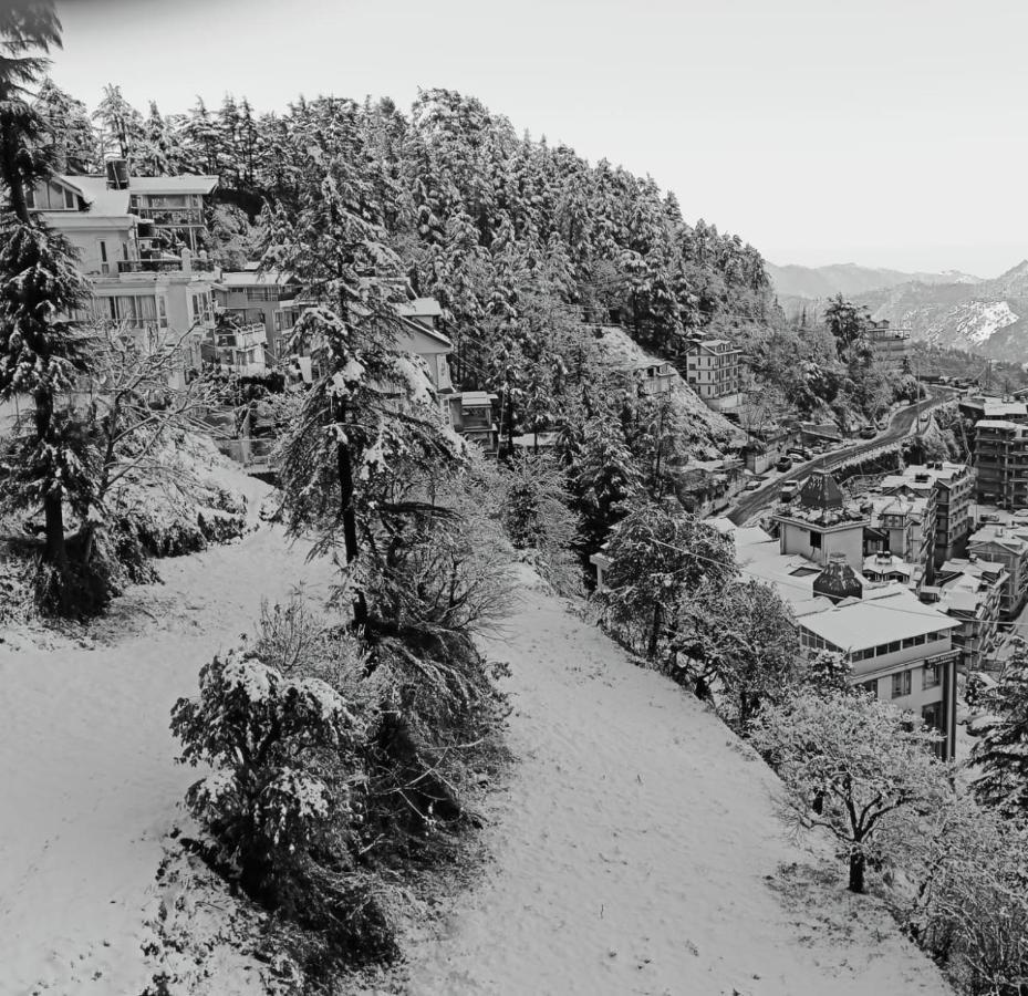 Hotel The Grand Madhushala Shimla