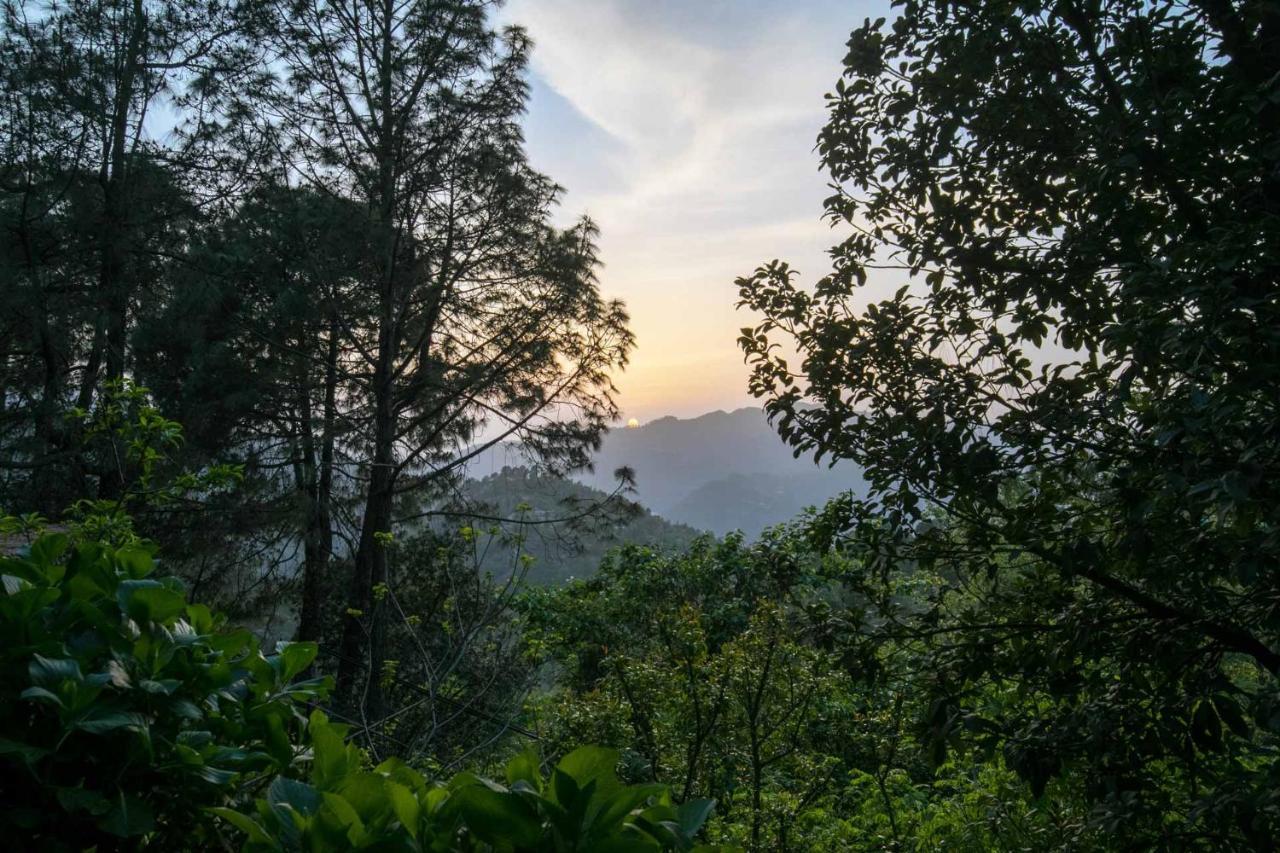 Saffronstays Ekam, Chail - Forest Near Chail Cricket Ground Villa Shimla