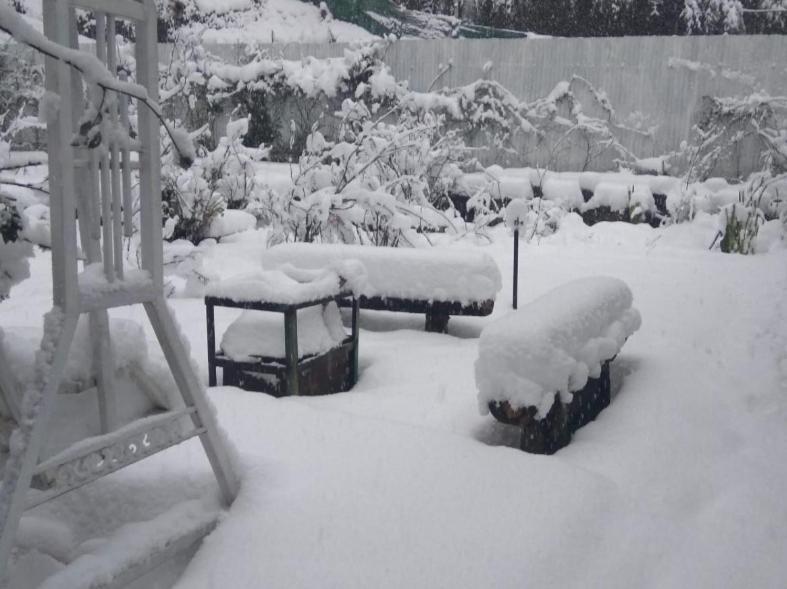 Bed & Breakfast Garden *
