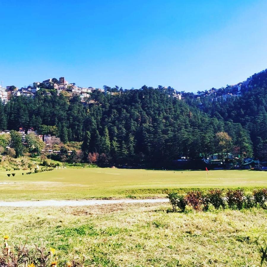 Pines Bed & Breakfast Shimla