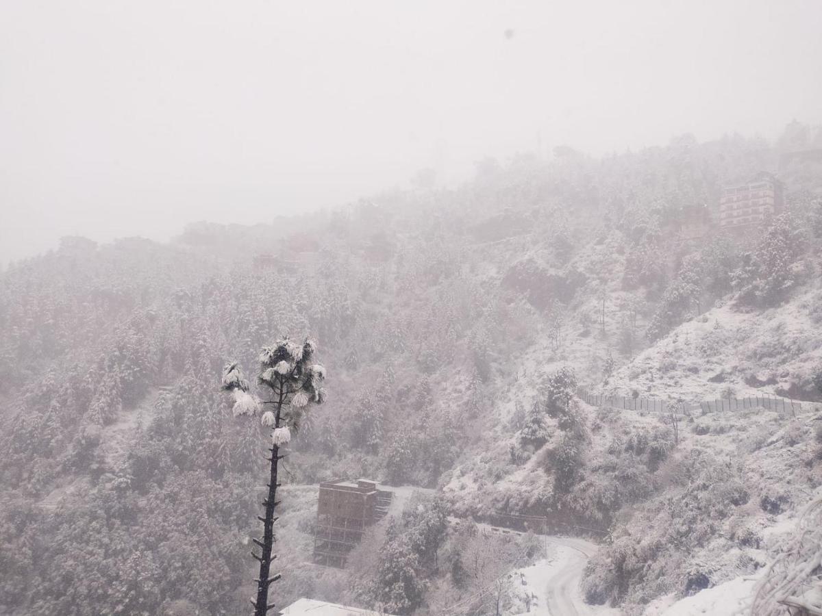 Royal Cedar Bed & Breakfast Shimla