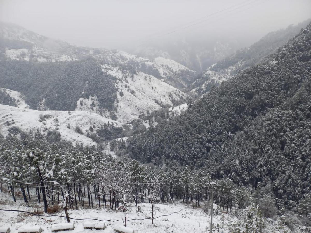 Royal Cedar Bed & Breakfast Shimla