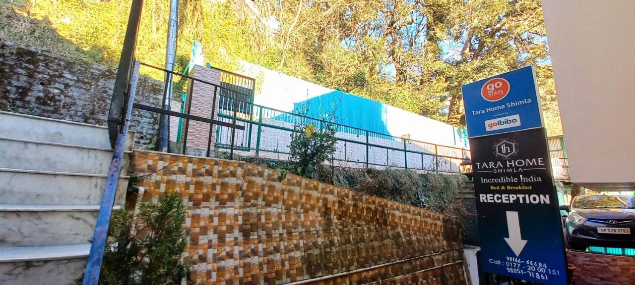 Tara Near Mall Road Shimla