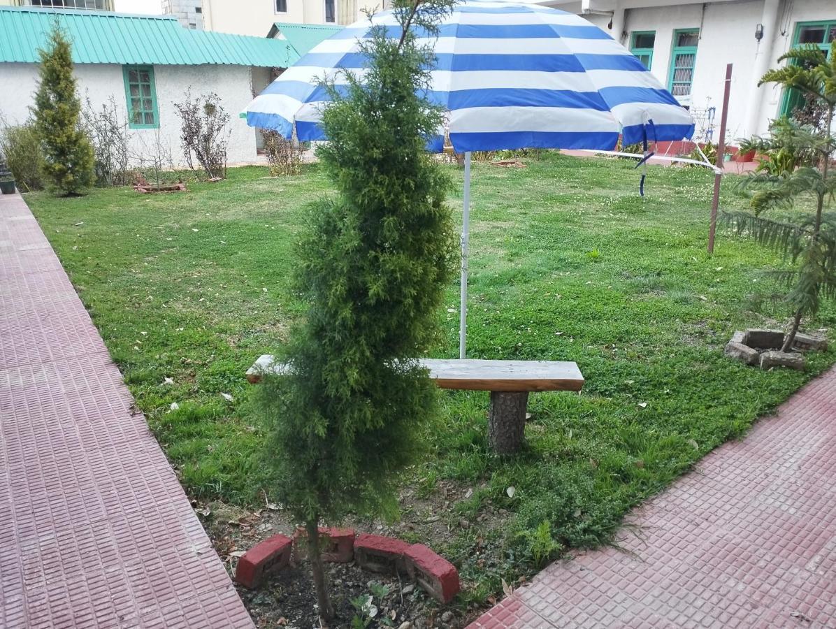 Garden *