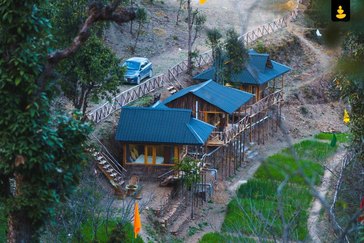 Livingstone Jungle * Shimla