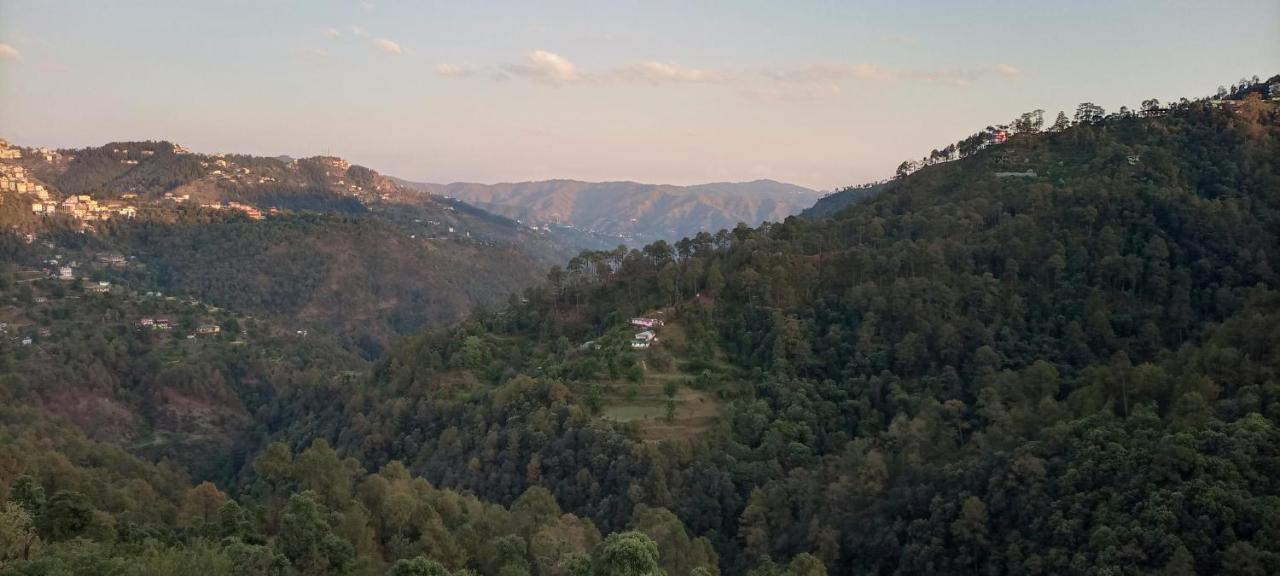 Thakur Homes * Shimla
