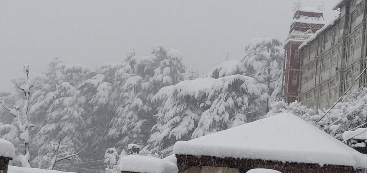 The Thistle * Shimla