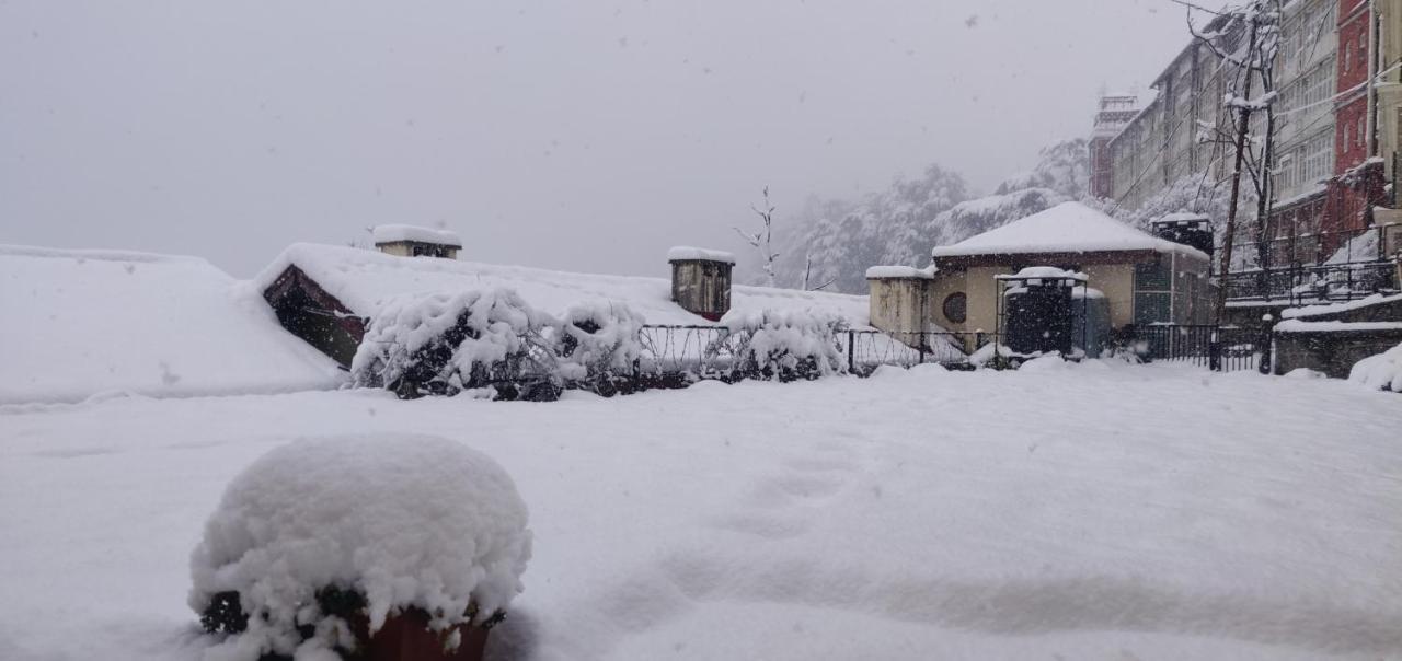 The Thistle Bed & Breakfast Shimla