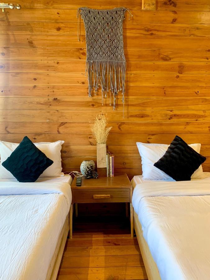 Hostel Sugar Cube Retreat *