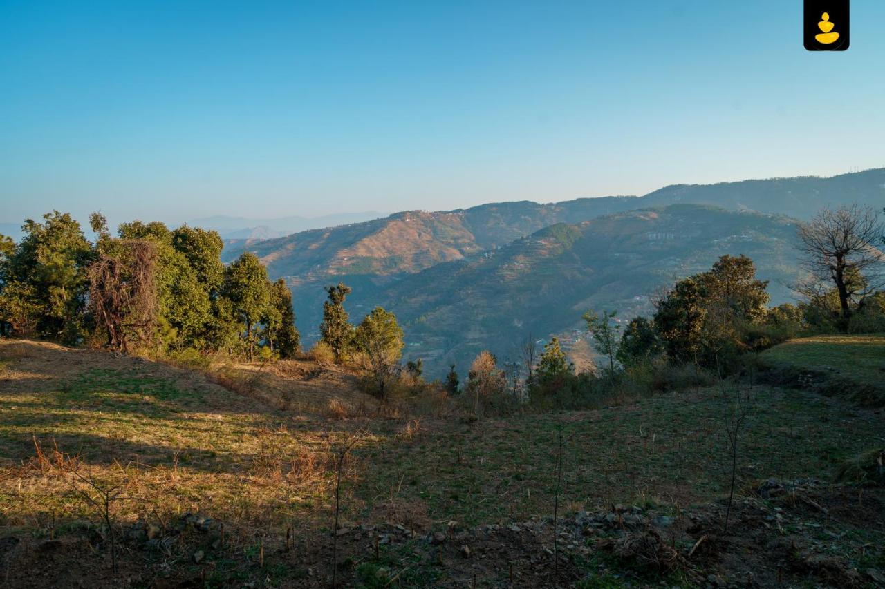 Livingstone Jungle Farm stay