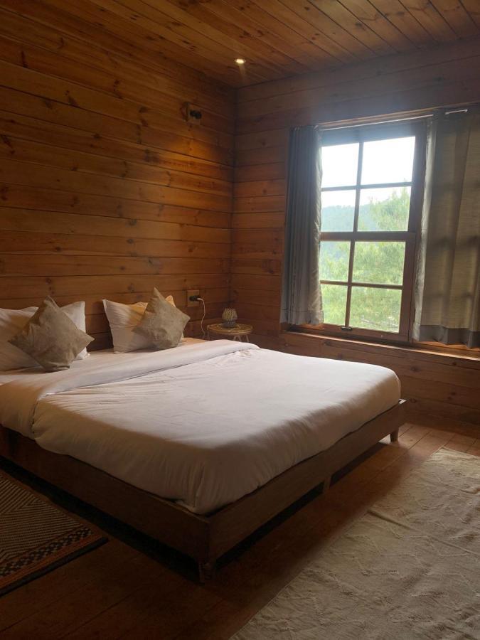 Sugar Cube Retreat Hostel *
