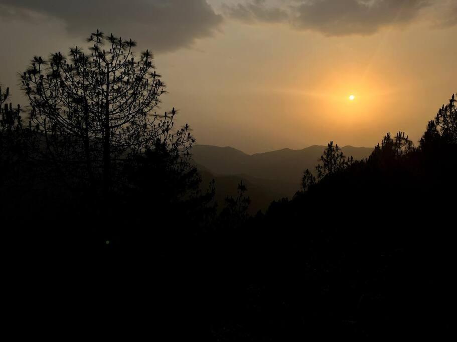 Residence Inn Homestay Apartment Shimla