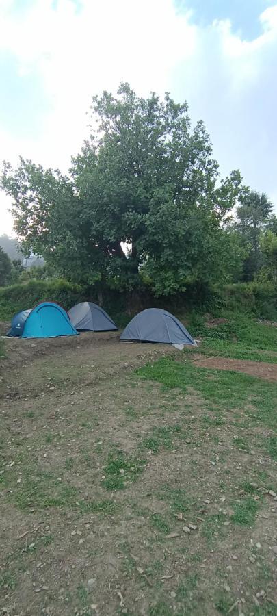 The Escape Campsite