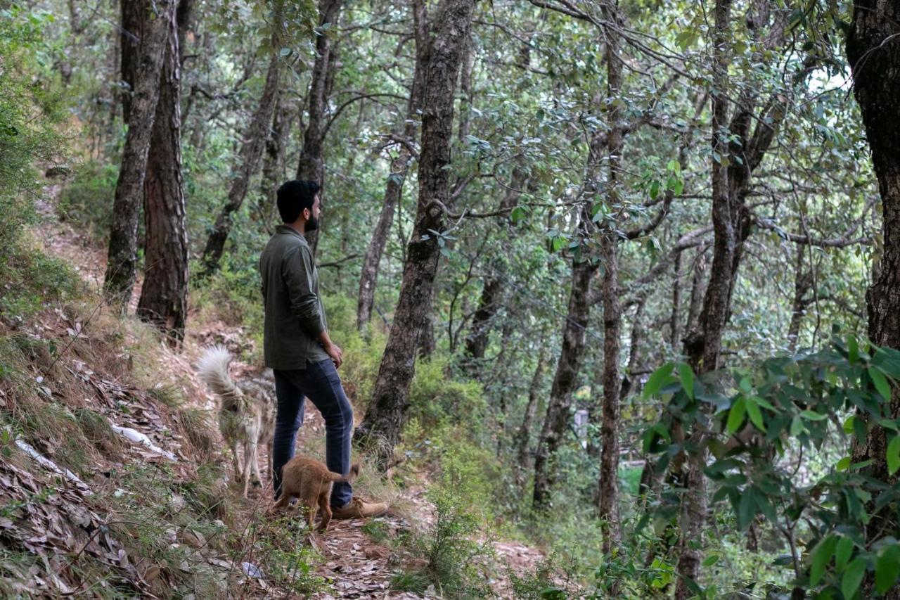 Villa Stayvista At Woodrose Estate With Scenic Views Shimla