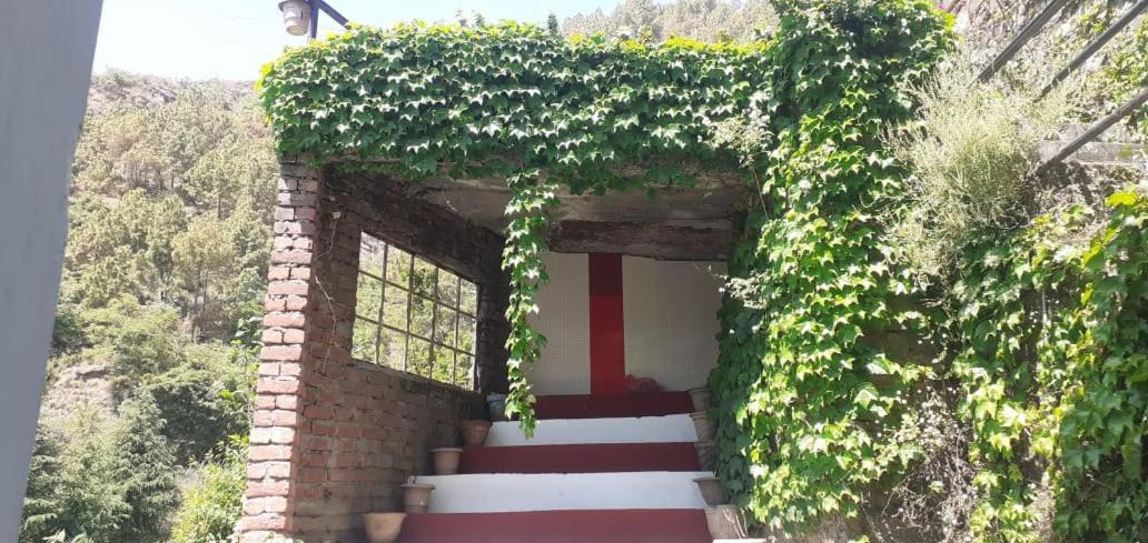 Homestay Deep Jyoti *