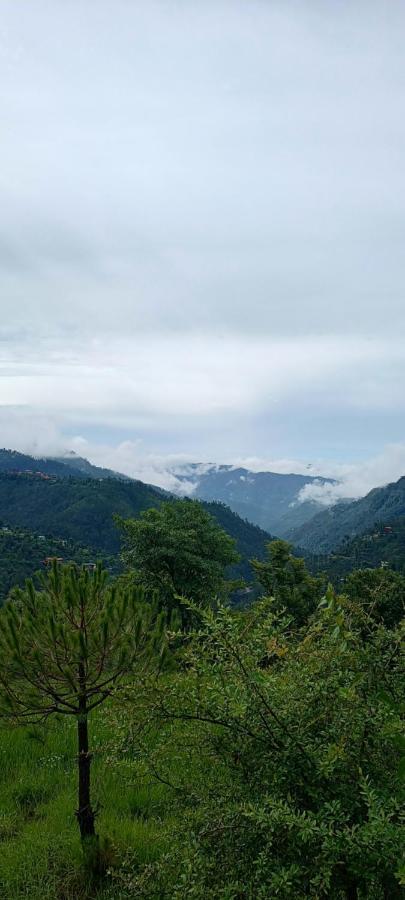 Homestay The Escape