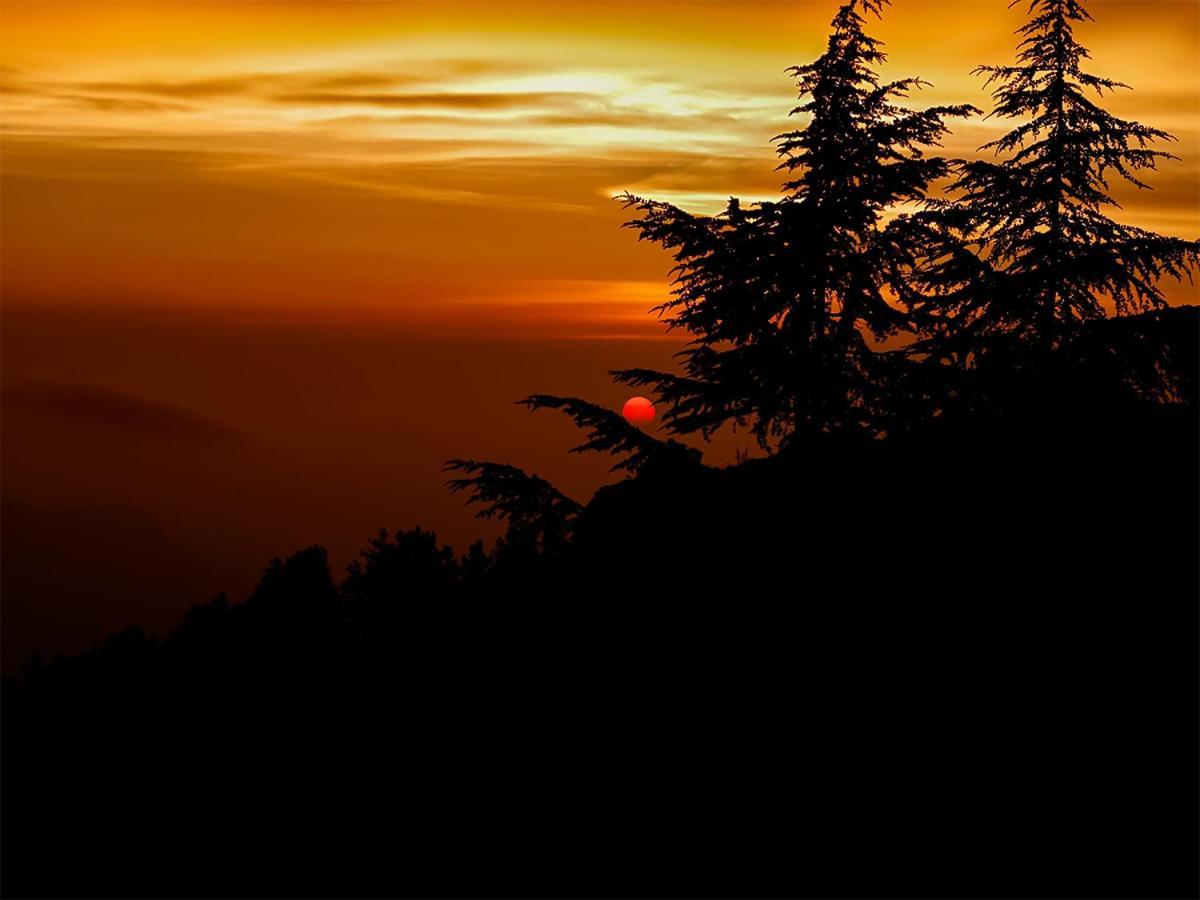 Divine Hills Mashobra * Shimla