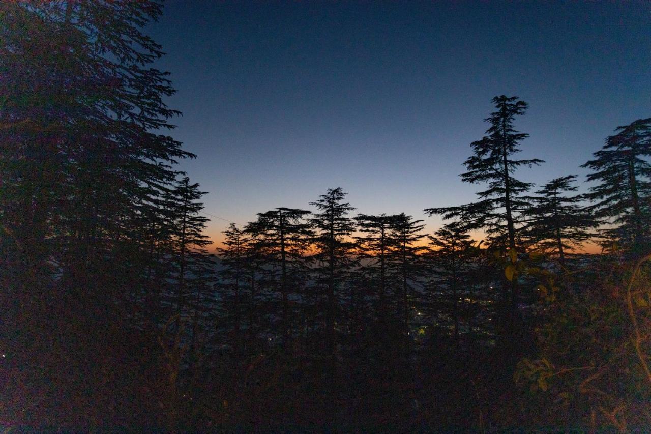 Seclude Shimla, Taraview Shimla
