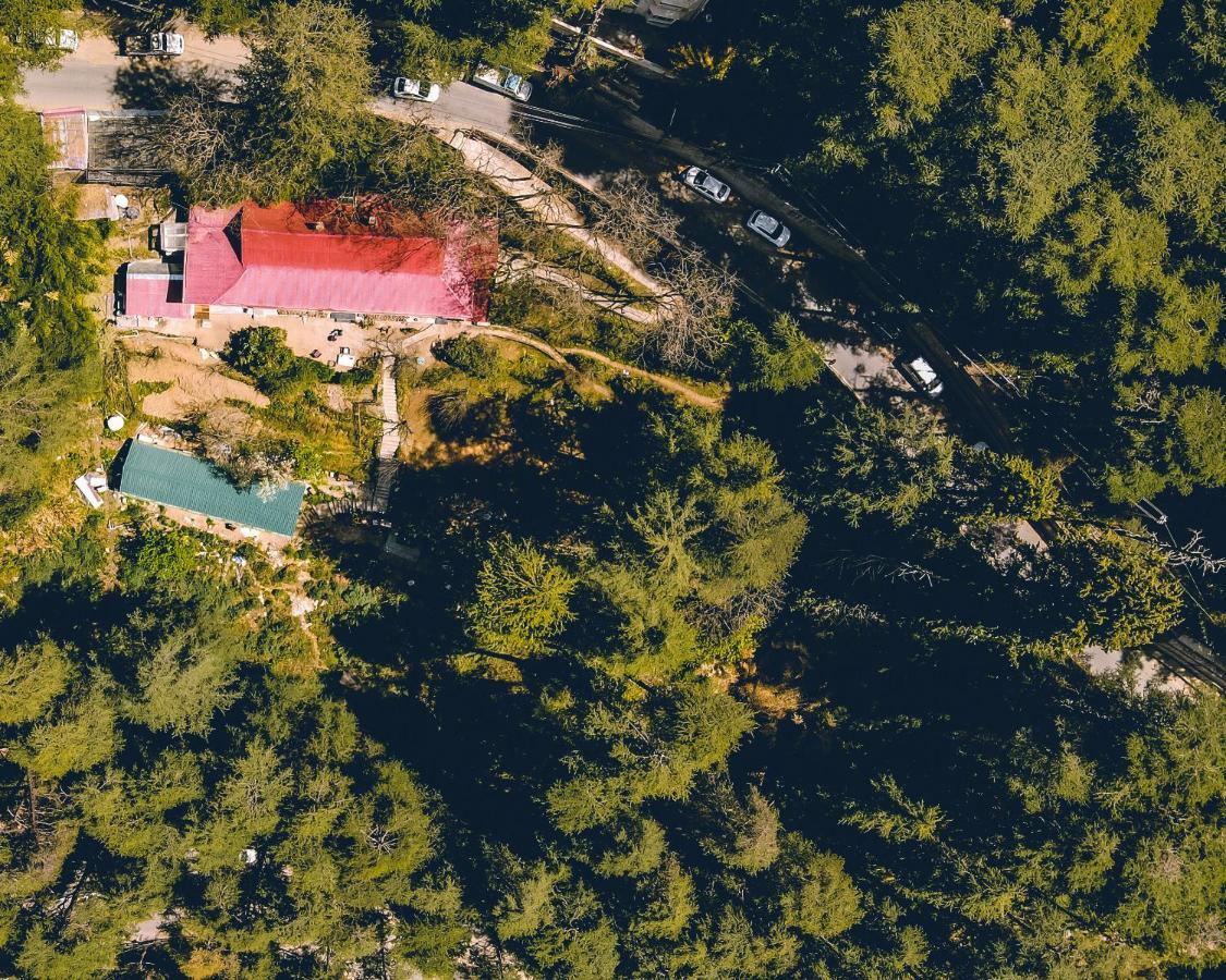 Hotel Seclude Shimla, Taraview 4*
