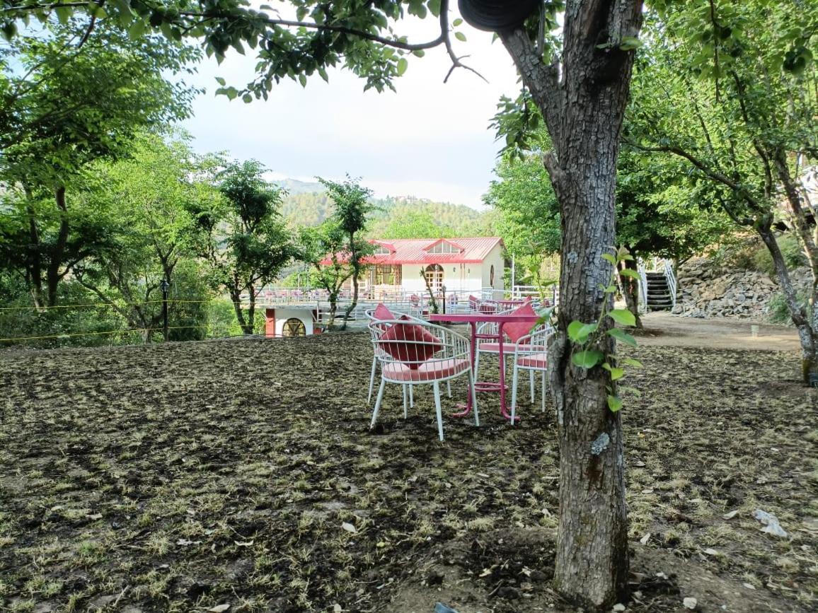 Aaroham Resort, Shimla