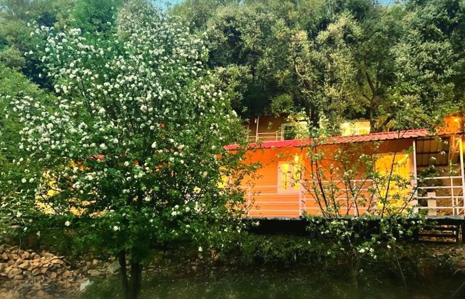 Aaroham Resort, Resort
