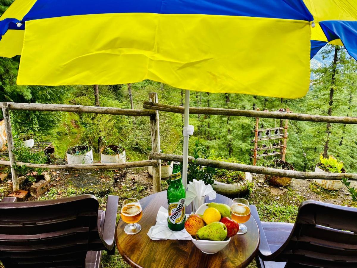 An Mashobra Ii Forest-mountain View