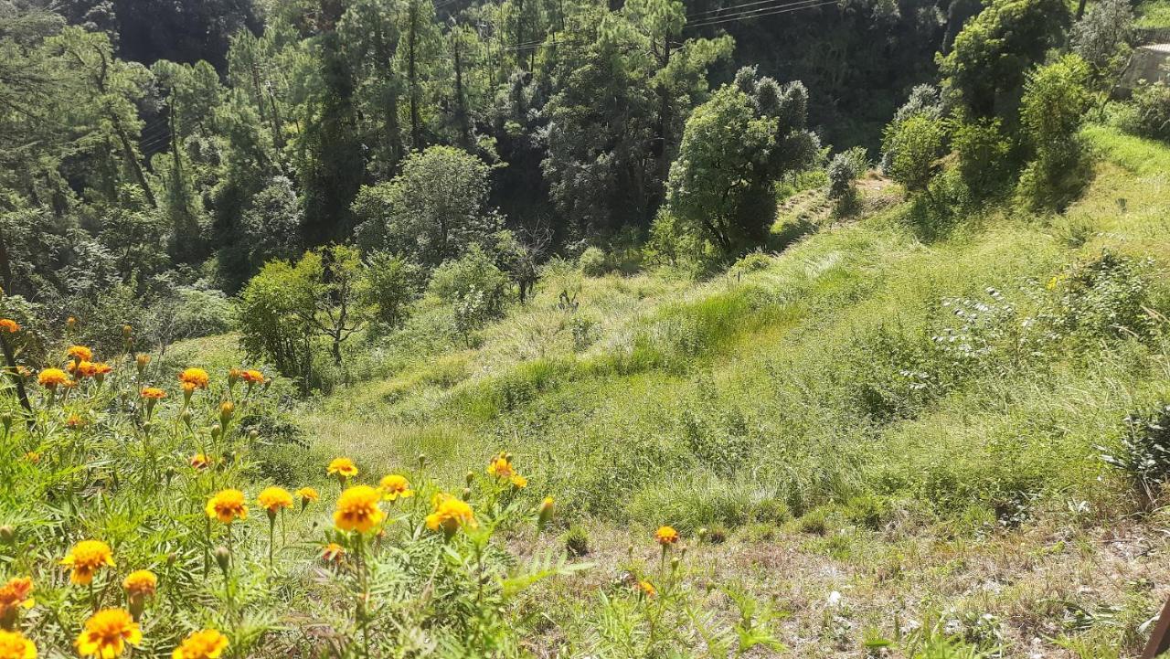 Aagaman Woods Shimla