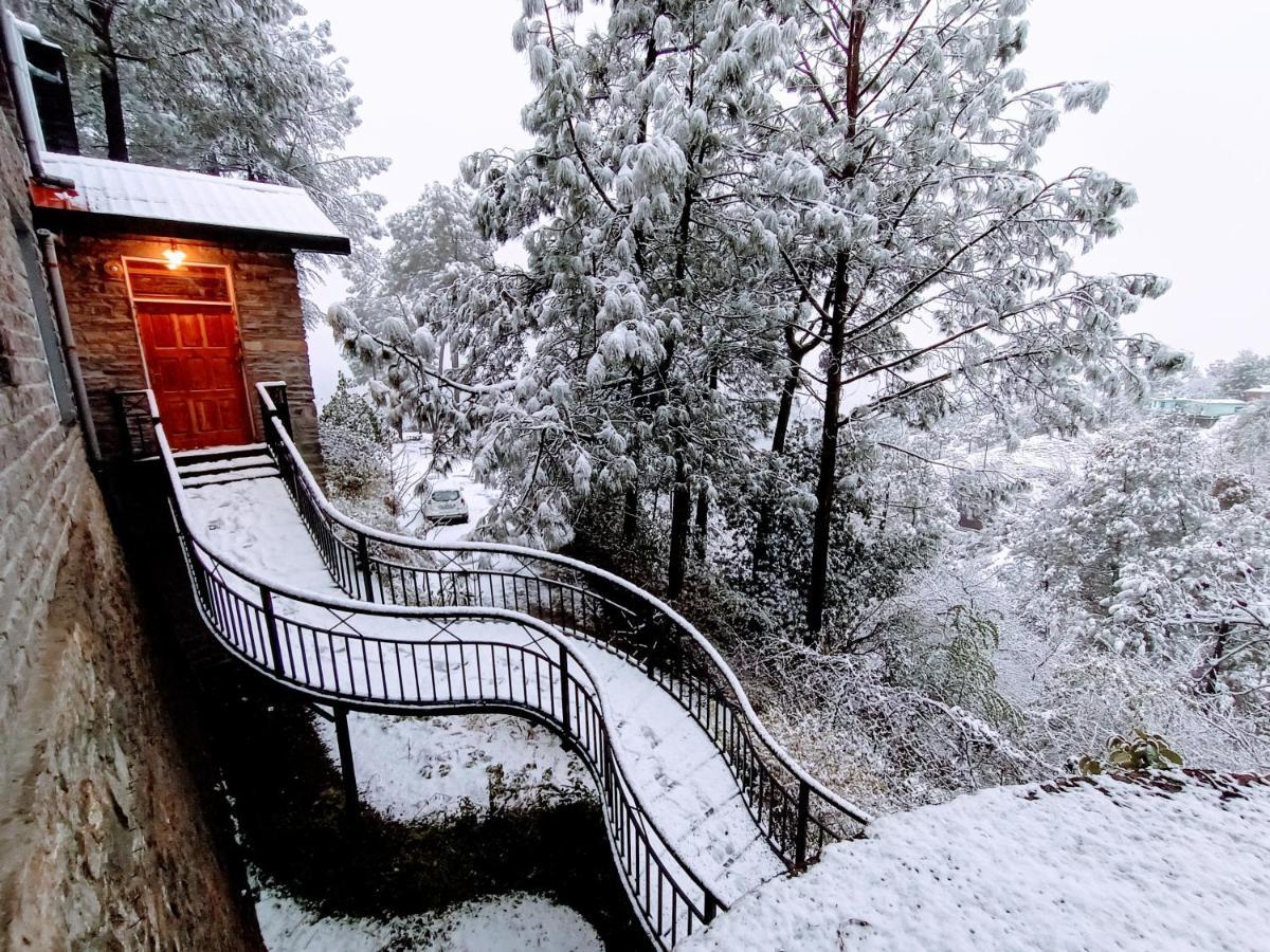 Villa Saffronstays Ekam, Chail - Forest Near Chail Cricket Ground *