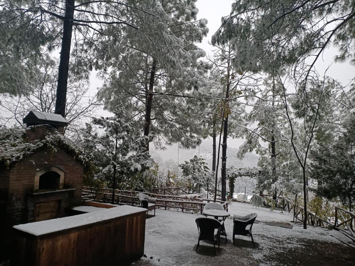 Villa Saffronstays Ekam, Chail - Forest Near Chail Cricket Ground