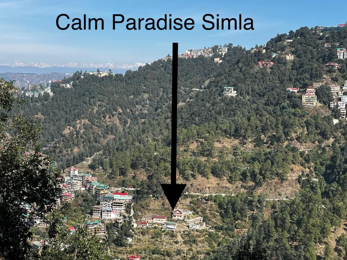Calm Paradise *