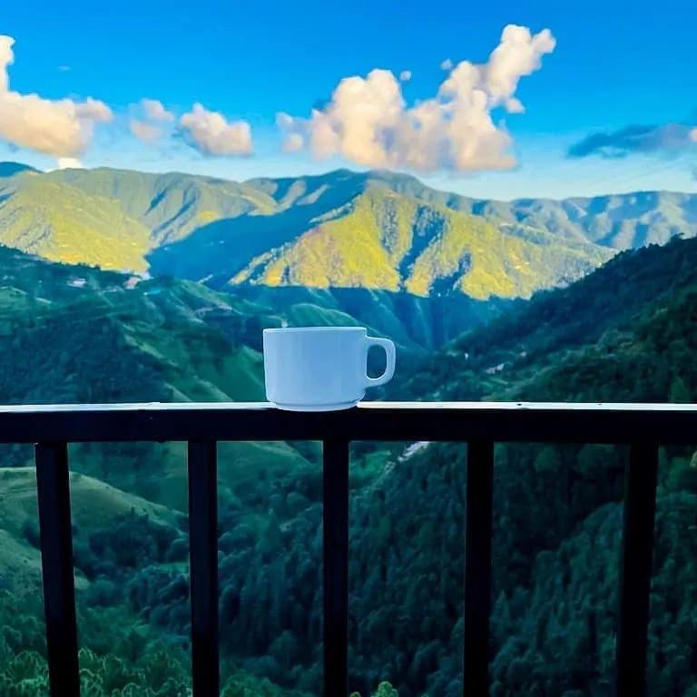 Royal Cedar Shimla