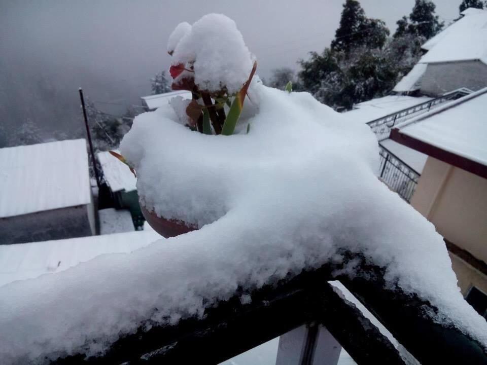 Homestay Calm Paradise Shimla