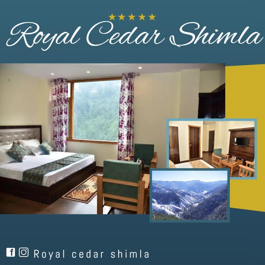Bed & Breakfast Royal Cedar Shimla