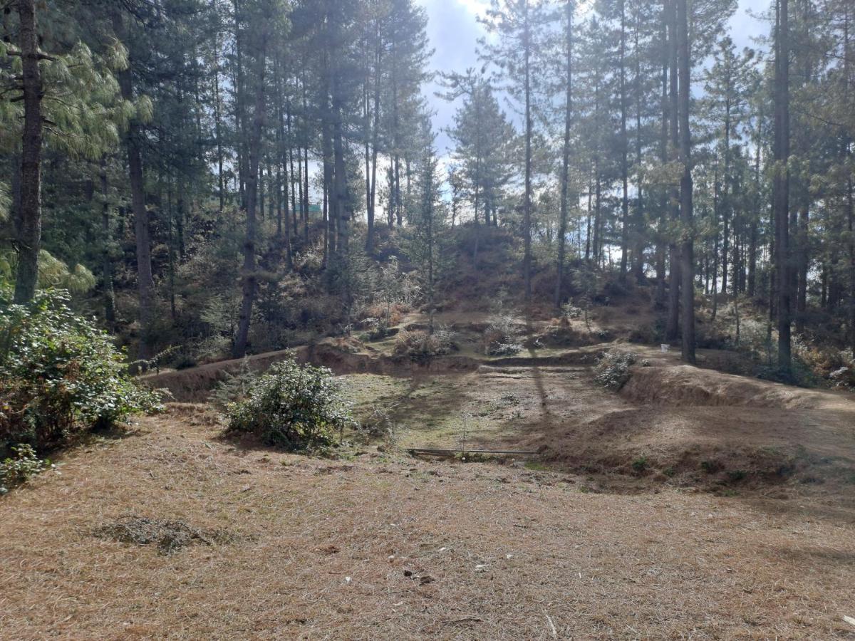For Rest Homestay Shimla