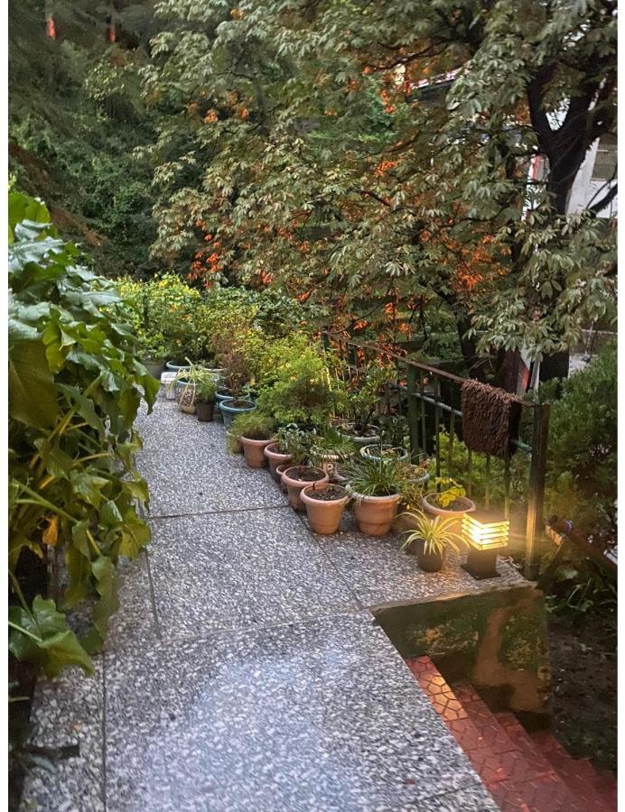 Homestay Woodland,
