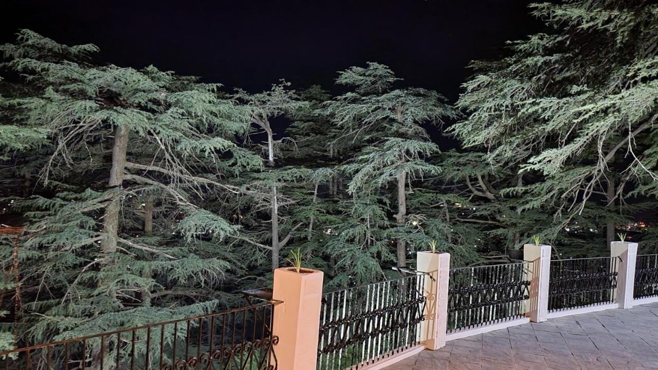 Glen View Heritage Homestay * Shimla