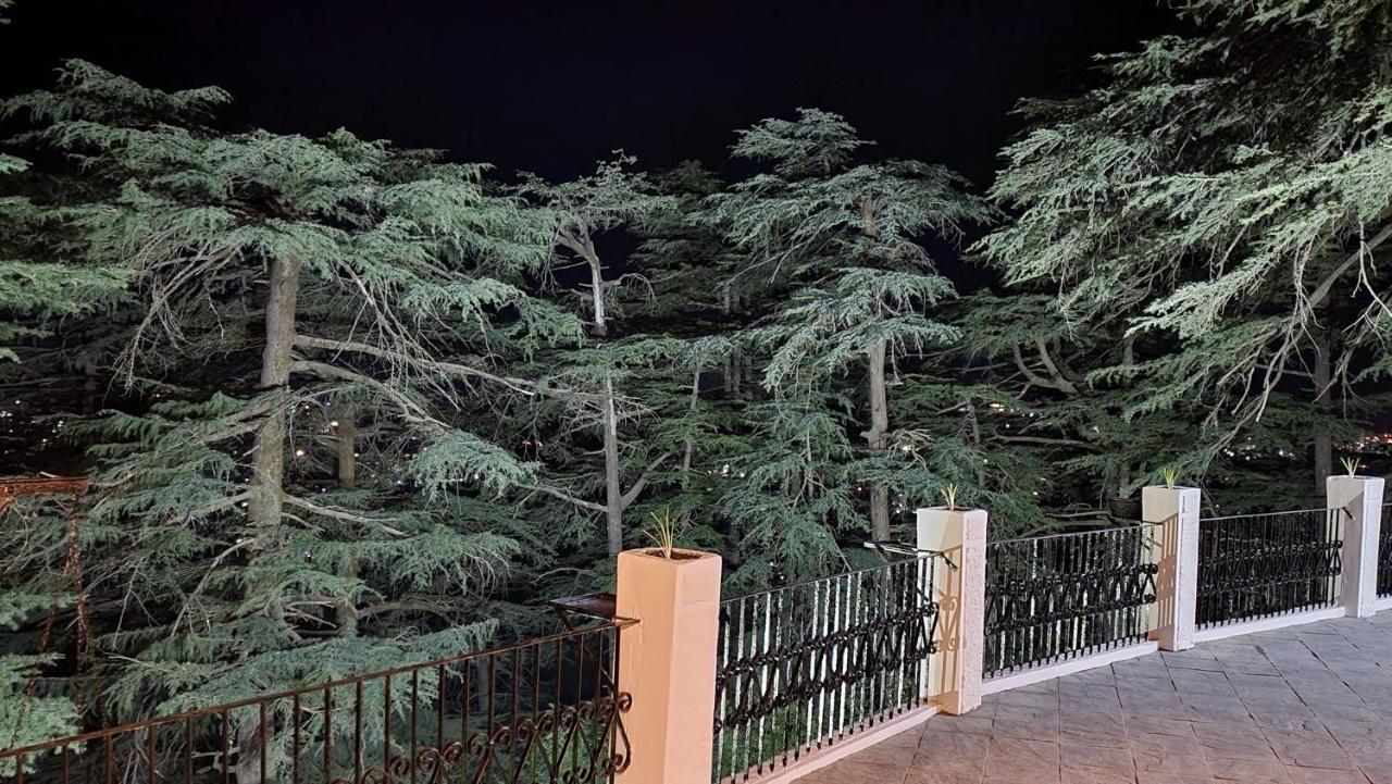 Glen View Heritage Homestay Shimla