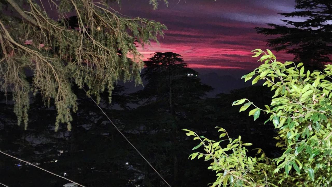 Glen View Heritage Homestay Villa Shimla