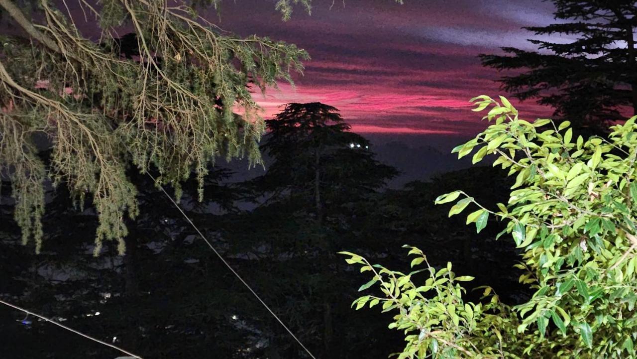 Glen View Heritage Homestay * Shimla